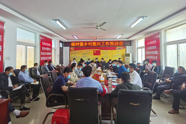 杨村镇乡村振兴推进会.jpg