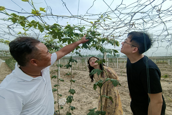 微信图片_20230525161424_副本.jpg